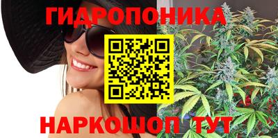 марки nbome Сланцы