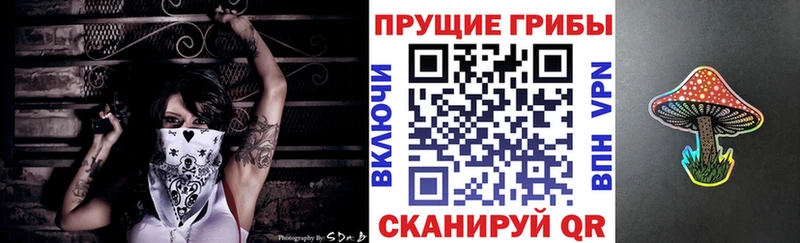 МЕГА зеркало  Саратов  Галлюциногенные грибы MAGIC MUSHROOMS 
